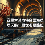 赛里木湖点将台西海草原天鹅：最优观景路线到底在哪？（图3）