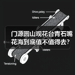 门源圆山观花台青石嘴花海到底值不值得去？（图1）