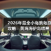 2026年最全小岛跳岛游攻略：黄海海驴岛喂黑尾鸥实测翻车记（图4）