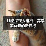 顺德深夜大排档,高端美食游的新目标(图4) 顺德深夜大排档,高端美食游的新目标(图4)