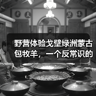 野营体验戈壁绿洲蒙古包牧羊，一个反常识的观察（图3）
