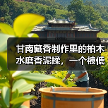 甘南藏香制作里的柏木水磨香泥揉，一个被低估的工艺（图4）
