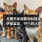 文莱杰米清真寺和努洛伊曼皇宫,99%的人都逛错了地方(图1) 文莱杰米清真寺和努洛伊曼皇宫,99%的人都逛错了地方(图1)