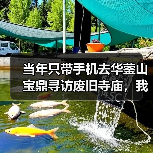 当年只带手机去华蓥山宝鼎寻访废旧寺庙,我在山里差点崩溃(图3) 当年只带手机去华蓥山宝鼎寻访废旧寺庙,我在山里差点崩溃(图3)