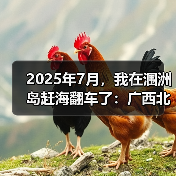 2025年7月，我在涠洲岛赶海翻车了：广西北海涠洲岛夏季赶海报告（图4）