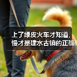 上了绿皮火车才知道，慢才是建水古镇的正确打开方式（图2）