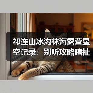 祁连山冰沟林海露营星空记录:别听攻略瞎扯,我亲手踩过的坑(图1) 祁连山冰沟林海露营星空记录:别听攻略瞎扯,我亲手踩过的坑(图1)