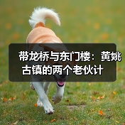带龙桥与东门楼:黄姚古镇的两个老伙计(图3) 带龙桥与东门楼:黄姚古镇的两个老伙计(图3)