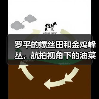 罗平的螺丝田和金鸡峰丛,航拍视角下的油菜花海为什么这么特别(图3) 罗平的螺丝田和金鸡峰丛,航拍视角下的油菜花海为什么这么特别(图3)