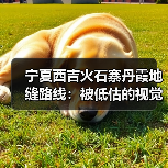 宁夏西吉火石寨丹霞地缝路线：被低估的视觉逻辑（图4）