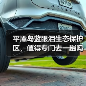 平潭岛蓝眼泪生态保护区,值得专门去一趟吗?(图3) 平潭岛蓝眼泪生态保护区,值得专门去一趟吗?(图3)