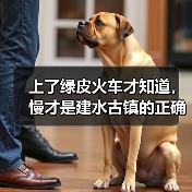 上了绿皮火车才知道，慢才是建水古镇的正确打开方式（图1）
