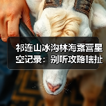祁连山冰沟林海露营星空记录:别听攻略瞎扯,我亲手踩过的坑(图3) 祁连山冰沟林海露营星空记录:别听攻略瞎扯,我亲手踩过的坑(图3)