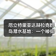 厄立特里亚达赫拉克群岛潜水基地:一个被低估的潜点值得去吗?(图3) 厄立特里亚达赫拉克群岛潜水基地:一个被低估的潜点值得去吗?(图3)