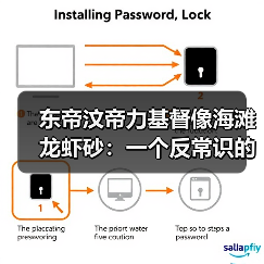 东帝汶帝力基督像海滩龙虾砂:一个反常识的观察(图4) 东帝汶帝力基督像海滩龙虾砂:一个反常识的观察(图4)