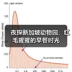 夜探新加坡动物园,红毛猩猩的早餐时光(图2) 夜探新加坡动物园,红毛猩猩的早餐时光(图2)