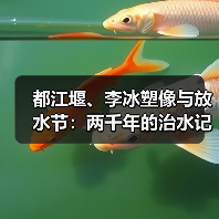 都江堰、李冰塑像与放水节：两千年的治水记忆（图2）