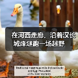 在河西走廊，沿着汉长城烽燧跑一场越野（图3）