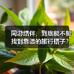 同游结伴,到底能不能找到靠谱的旅行搭子?(图4) 同游结伴,到底能不能找到靠谱的旅行搭子?(图4)