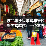 波兰华沙科学宫与维拉努夫宫庭院:一个意外发现(图4) 波兰华沙科学宫与维拉努夫宫庭院:一个意外发现(图4)