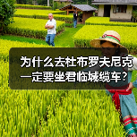 为什么去杜布罗夫尼克一定要坐君临城缆车?我的踩坑经历给你答案(图1) 为什么去杜布罗夫尼克一定要坐君临城缆车?我的踩坑经历给你答案(图1)