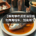 【越南芽庄泥浆浴珍珠岛跨海缆车,到底哪个更值得体验?】(图2) 【越南芽庄泥浆浴珍珠岛跨海缆车,到底哪个更值得体验?】(图2)