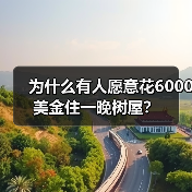 为什么有人愿意花6000美金住一晚树屋?(图3) 为什么有人愿意花6000美金住一晚树屋?(图3)