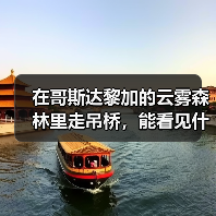在哥斯达黎加的云雾森林里走吊桥,能看见什么(图2) 在哥斯达黎加的云雾森林里走吊桥,能看见什么(图2)