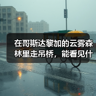 在哥斯达黎加的云雾森林里走吊桥,能看见什么(图3) 在哥斯达黎加的云雾森林里走吊桥,能看见什么(图3)