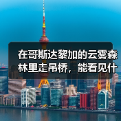 在哥斯达黎加的云雾森林里走吊桥,能看见什么(图4) 在哥斯达黎加的云雾森林里走吊桥,能看见什么(图4)