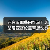 还在追那些网红鸟?坦桑尼亚塞伦盖蒂恩戈罗火山鸟才是2026年的隐藏王者(图1) 还在追那些网红鸟?坦桑尼亚塞伦盖蒂恩戈罗火山鸟才是2026年的隐藏王者(图1)
