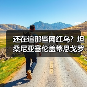 还在追那些网红鸟?坦桑尼亚塞伦盖蒂恩戈罗火山鸟才是2026年的隐藏王者(图2) 还在追那些网红鸟?坦桑尼亚塞伦盖蒂恩戈罗火山鸟才是2026年的隐藏王者(图2)