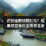 还在追那些网红鸟?坦桑尼亚塞伦盖蒂恩戈罗火山鸟才是2026年的隐藏王者(图4) 还在追那些网红鸟?坦桑尼亚塞伦盖蒂恩戈罗火山鸟才是2026年的隐藏王者(图4)