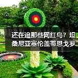 还在追那些网红鸟?坦桑尼亚塞伦盖蒂恩戈罗火山鸟才是2026年的隐藏王者(图3) 还在追那些网红鸟?坦桑尼亚塞伦盖蒂恩戈罗火山鸟才是2026年的隐藏王者(图3)