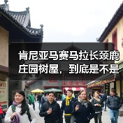 肯尼亚马赛马拉长颈鹿庄园树屋,到底是不是智商税?(图2) 肯尼亚马赛马拉长颈鹿庄园树屋,到底是不是智商税?(图2)