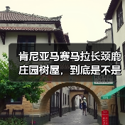 肯尼亚马赛马拉长颈鹿庄园树屋,到底是不是智商税?(图3) 肯尼亚马赛马拉长颈鹿庄园树屋,到底是不是智商税?(图3)