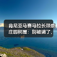 肯尼亚马赛马拉长颈鹿庄园树屋:别被骗了,它根本不是你想的那样(图1) 肯尼亚马赛马拉长颈鹿庄园树屋:别被骗了,它根本不是你想的那样(图1)