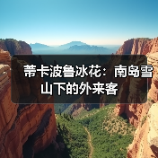 蒂卡波鲁冰花:南岛雪山下的外来客(图1) 蒂卡波鲁冰花:南岛雪山下的外来客(图1)