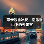 蒂卡波鲁冰花:南岛雪山下的外来客(图3) 蒂卡波鲁冰花:南岛雪山下的外来客(图3)