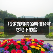 哈尔施塔特的明信片和它地下的盐(图2) 哈尔施塔特的明信片和它地下的盐(图2)
