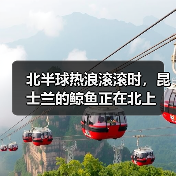 北半球热浪滚滚时,昆士兰的鲸鱼正在北上(图3) 北半球热浪滚滚时,昆士兰的鲸鱼正在北上(图3)