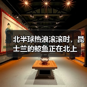 北半球热浪滚滚时,昆士兰的鲸鱼正在北上(图1) 北半球热浪滚滚时,昆士兰的鲸鱼正在北上(图1)