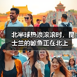 北半球热浪滚滚时,昆士兰的鲸鱼正在北上(图4) 北半球热浪滚滚时,昆士兰的鲸鱼正在北上(图4)
