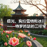 极光、狗拉雪橇和冰川——特罗姆瑟的三样宝贝(图2) 极光、狗拉雪橇和冰川——特罗姆瑟的三样宝贝(图2)