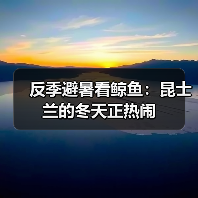反季避暑看鲸鱼:昆士兰的冬天正热闹(图3) 反季避暑看鲸鱼:昆士兰的冬天正热闹(图3)