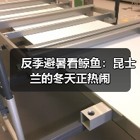 反季避暑看鲸鱼:昆士兰的冬天正热闹(图1) 反季避暑看鲸鱼:昆士兰的冬天正热闹(图1)