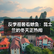 反季避暑看鲸鱼:昆士兰的冬天正热闹(图4) 反季避暑看鲸鱼:昆士兰的冬天正热闹(图4)