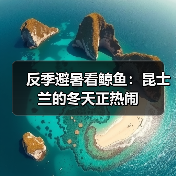 反季避暑看鲸鱼:昆士兰的冬天正热闹(图2) 反季避暑看鲸鱼:昆士兰的冬天正热闹(图2)
