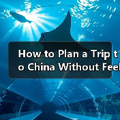 How to Plan a Trip to China Without Feeling Overwhelmed? A Step-by-Step Destination Travel Guide(图2) How to Plan a Trip to China Without Feeling Overwhelmed? A Step-by-Step Destination Travel Guide(图2)