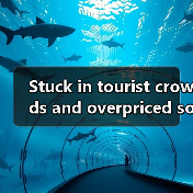 Stuck in tourist crowds and overpriced souvenirs? Here’s how to unlock China’s real hidden wonders like a local.(图2) Stuck in tourist crowds and overpriced souvenirs? Here’s how to unlock China’s real hidden wonders like a local.(图2)